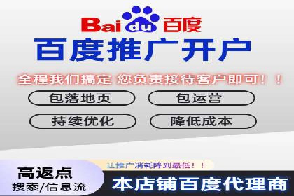 SEO百度推广策略：成功案例解析